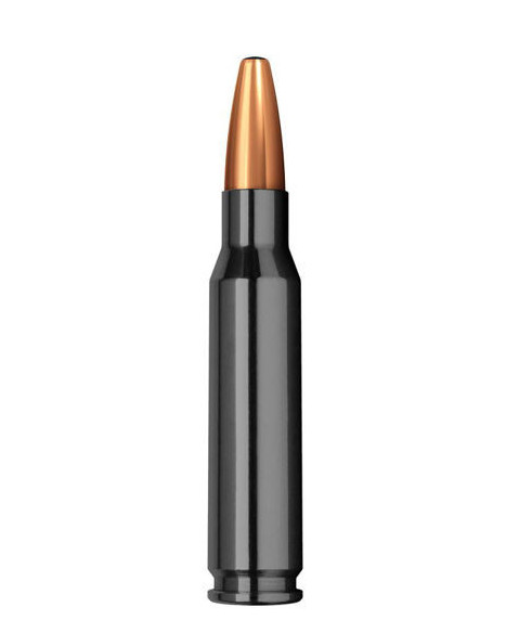 Norma Ammunition 30 06 180gr Oryx Silencer